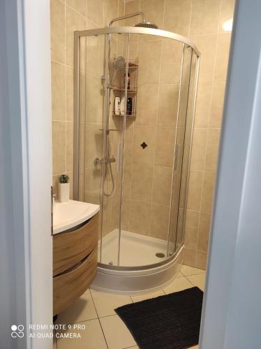 Apartman Branimir