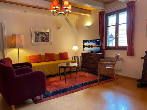 een woonkamer met een bank en een tv bij La Cour Zaepffel in Dambach-la-Ville
