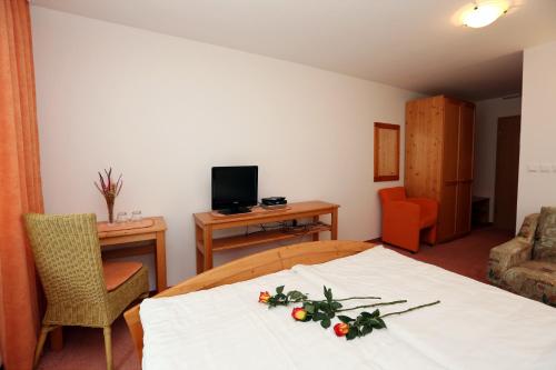 Μια τηλεόραση ή/και κέντρο ψυχαγωγίας στο Bed & Breakfast Hisa Resje