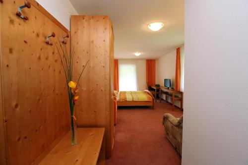 Μια τηλεόραση ή/και κέντρο ψυχαγωγίας στο Bed & Breakfast Hisa Resje