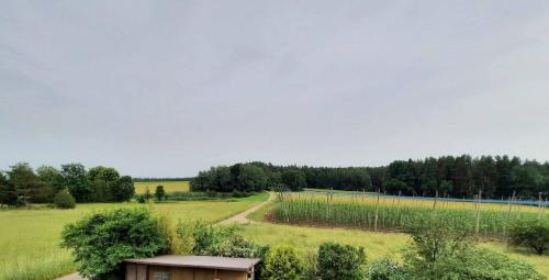 Příroda nedaleko apartmánu