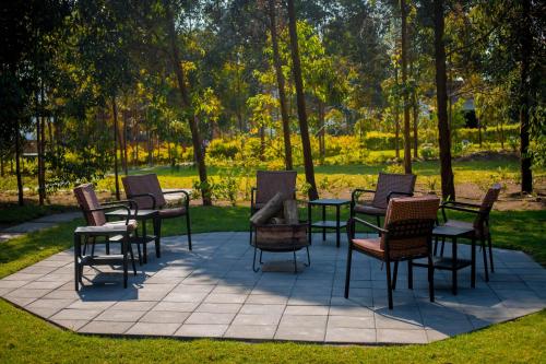Κήπος έξω από το Shamba Lodge Cabin A