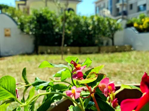 a plant with pink and red flowers in a yard at Villa Versilia in Lido di Camaiore