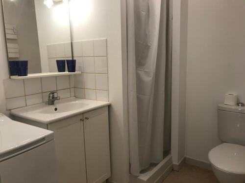 biała łazienka z umywalką i prysznicem w obiekcie Grand Studio en coeur de ville pour 2 p. w mieście Bort-les-Orgues