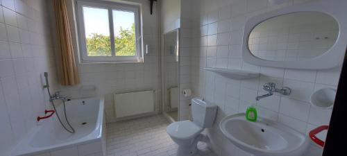 ein Badezimmer mit einem Waschbecken, einem WC und einem Spiegel in der Unterkunft Penzion Speedway in Marienbad