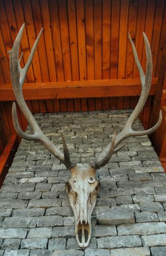 Φωτογραφία από το άλμπουμ του Prenoćište/Restoran Lovac σε Bihać