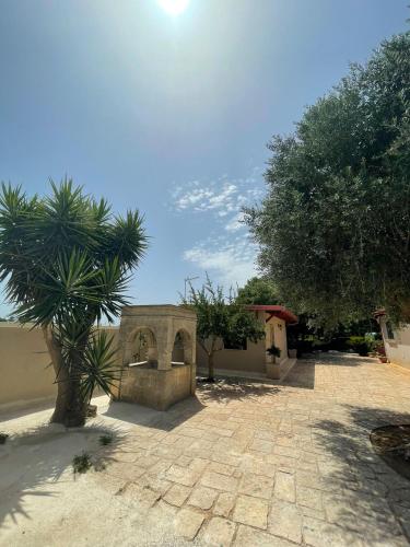 Zahrada ubytování B&B Le Carrube