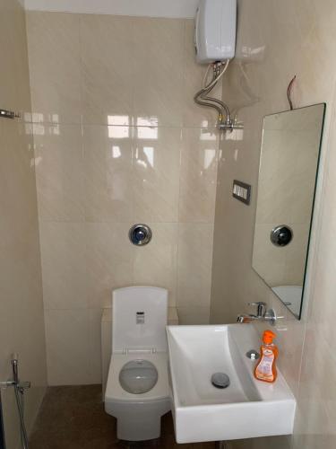 a bathroom with a toilet and a sink and a mirror at ROYAL MEADOWS - IGATPURI Bungalow C in Igatpuri