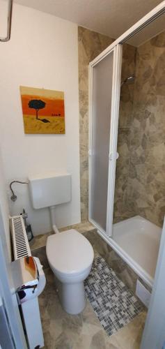 a bathroom with a toilet and a shower and a sink at Muehle-Maus in Sankt Goarshausen