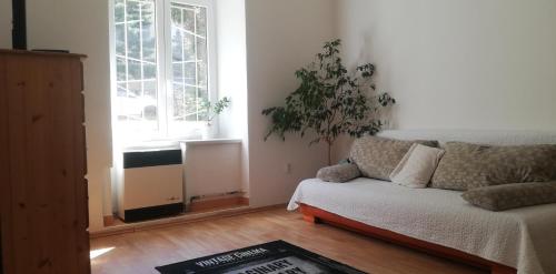 Postel nebo postele na pokoji v ubytování Apartment Black Field