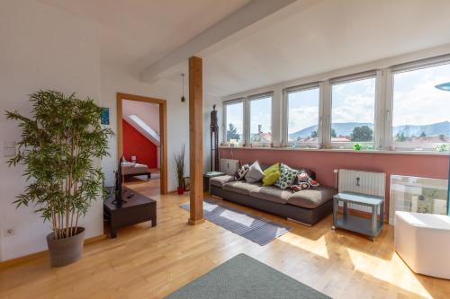 un salon avec un canapé et une plante dans l'établissement Andreas' Dachwohnung mit Terrasse, à Graz