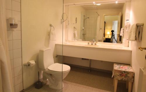 a bathroom with a toilet and a sink and a mirror at Sophiendal Manor in Låsby