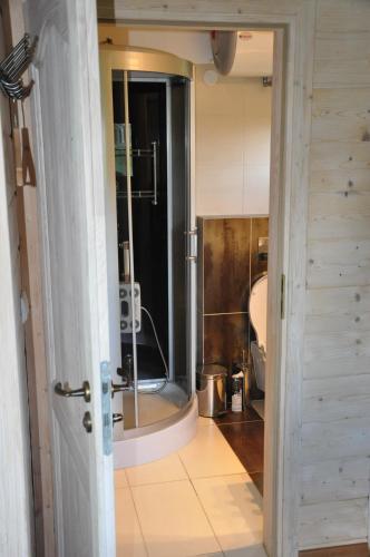 a bathroom with a shower and a toilet in a room at Danielówka in Pępowo