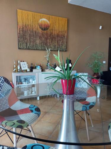 a dining room with a glass table with a plant on it at Il Faggio 17 B&B in Artena