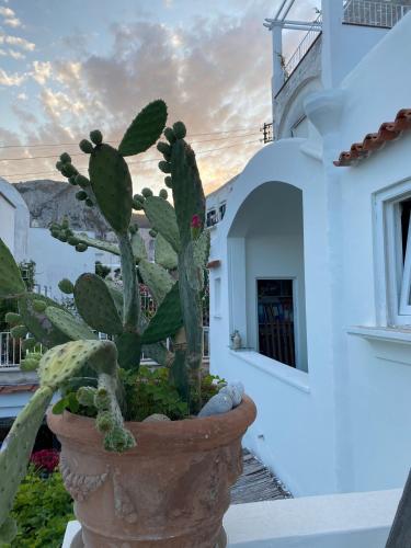 Budova, kde se bed and breakfast nachází