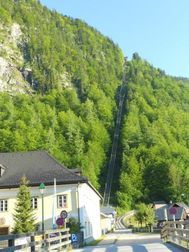 a large hill with a building in front of a mountain at Haus Höll Herta in Hallstatt