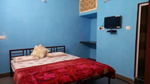 a blue room with a bed and a tv at Nandini Paying Guest House in Udaipur