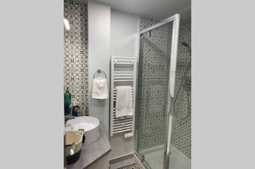 ein Bad mit einer Dusche und einem Waschbecken in der Unterkunft Joli appartement haut standing en hyper centre in Toulouse