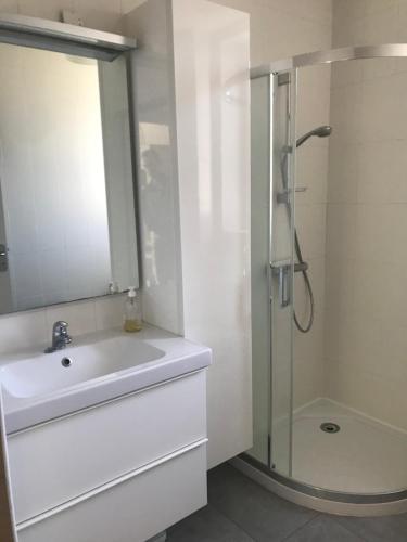 uma casa de banho branca com um lavatório e um chuveiro em Appartement en coeur de ville 2 à 4 personnes em Bort-les-Orgues