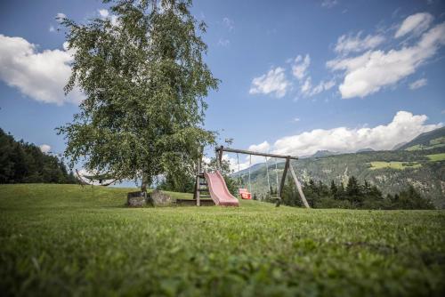 a playground with a slide and a tree in a field at Oberplunerhof - Fewo Gitschberg in Chienes