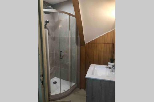 a bathroom with a shower and a sink at BeauneAppart - Centre- Climatisation - Parking gratuit in Beaune