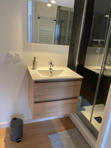 a bathroom with a sink and a mirror at Joli studio neuf vue mer proche Deauville in Blonville-sur-Mer