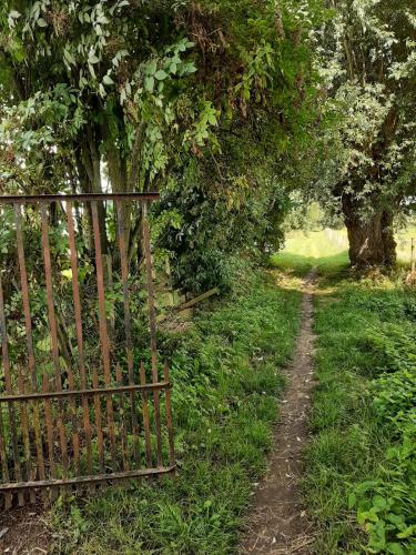 a fence in the grass next to a tree at Chez Paulette in Avelgem
