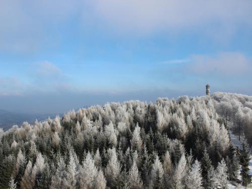een besneeuwde heuvel met bomen en een toren erop bij Hochwaldbaude in Hain
