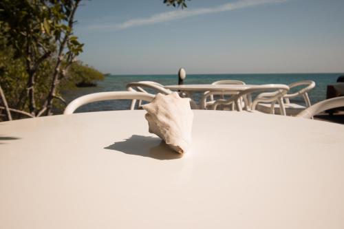 a crumpled napkin sitting on top of a table at Fragata Island House in Isla Grande