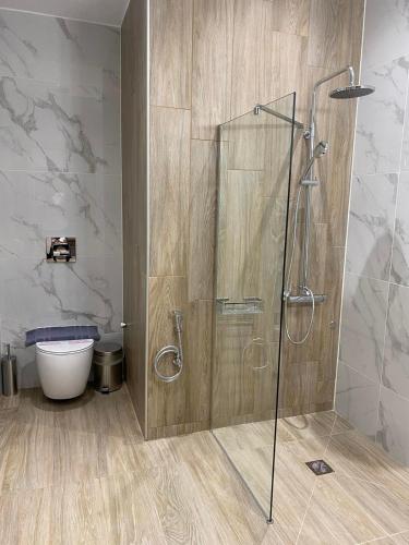 Et badeværelse på 11 Luxury Apartments Metsovo