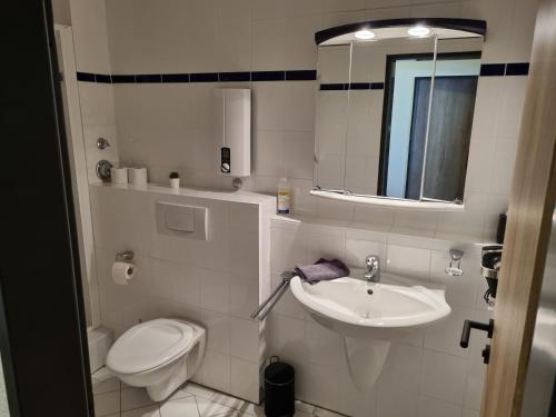 bagno con lavandino, servizi igienici e specchio di Ferienwohnung Schanzenblick a Winterberg