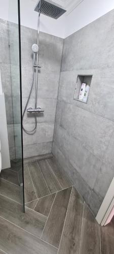 a shower with a glass door in a bathroom at White rezidence in Curtea de Argeş