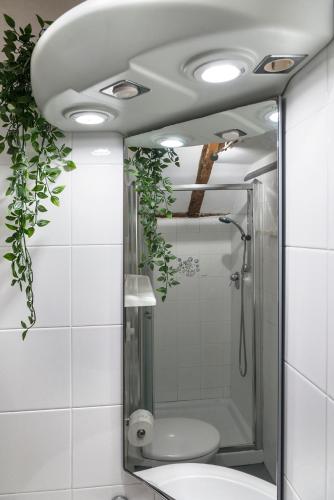 a bathroom with a toilet and a shower with lights at PICCOLO - Cozy studio in the heart of authentic Venice in Venice