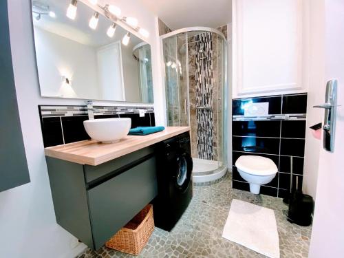 ein Badezimmer mit einem Waschbecken, einem WC und einem Spiegel in der Unterkunft Appartement douillet 1 chambre - centre ville in Argenteuil