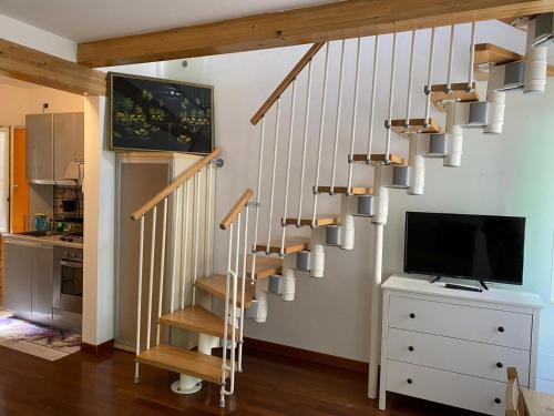基奧賈的住宿－CIOSOT HOUSE，客厅设有带电视的楼梯