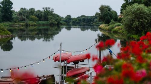 a boat on a lake with a string of lights at Apartamenty Kapitańskie - Pływające in Oława