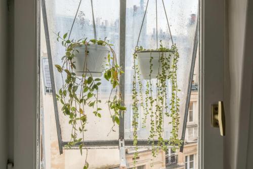 Deux plantes en pot sont suspendues à une fenêtre dans l'établissement Appartement Dorian - Welkeys, à Paris
