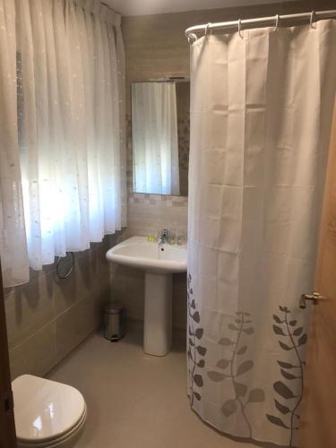 a bathroom with a sink and a toilet and a shower curtain at Pensión Santirso in Palas de Rei