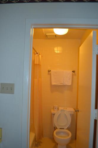 a bathroom with a toilet and a shower at Granbury Inn and Suites in Granbury