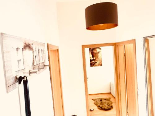 愛爾福特的住宿－Domblick，一只猫躺在镜子旁的地板上