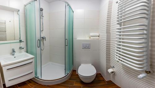 a bathroom with a shower and a toilet and a sink at Apartament Residence Nysa in Nysa