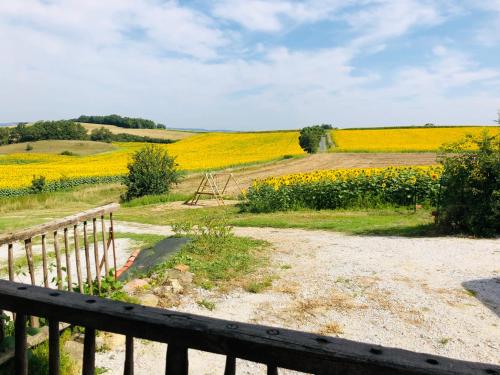 a field of yellow flowers with a wooden fence at les gîtes d'en Julio in Puylaurens