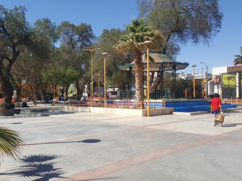 a person walking a dog in a park at 2 Torres Calama in Calama