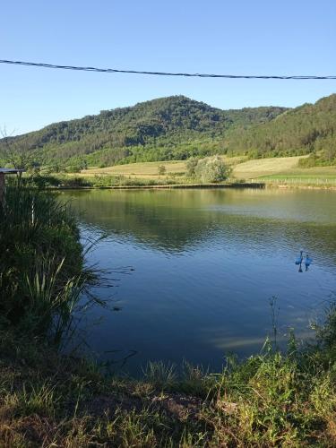 a lake with two ducks swimming in the water at Vila Sabo- Casa de vacanta cu lac de pescuit si ciubar cu hidromasaj in Sîntioana