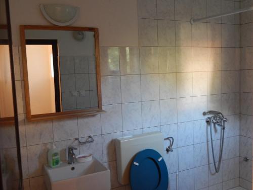 a bathroom with a shower and a toilet and a mirror at Apartment Tomato in Pula