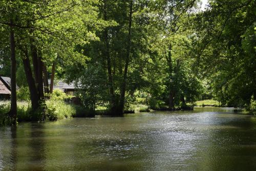 a river with trees on the side of it at Spreezeit Hotel connect in Senftenberg