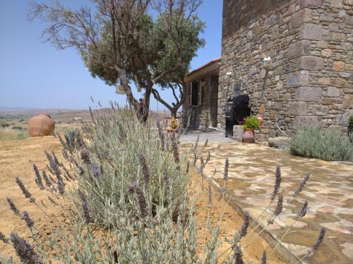 a stone building with a tree in front of it at Paliokaliva Home in Roussopoúlion