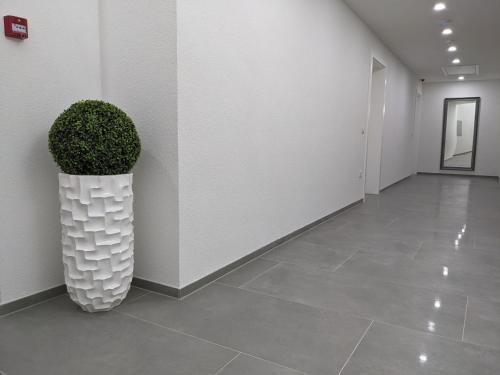Fotografie z fotogalerie ubytování Evita Apartmani Šibovska v destinaci Prnjavor