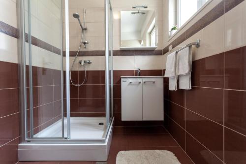 ザダルにあるBeach Apartments Rafaelのガラスドア付きのシャワー付きのバスルーム