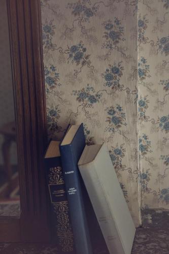 three books sitting on a shelf next to a wall at Chateau De Grosfy in Hugleville-en-Caux